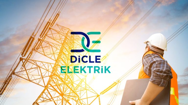 Dicle Elektrik, 2024’te Güvenli Elektrik için 60.730 Panoyu İnceledi