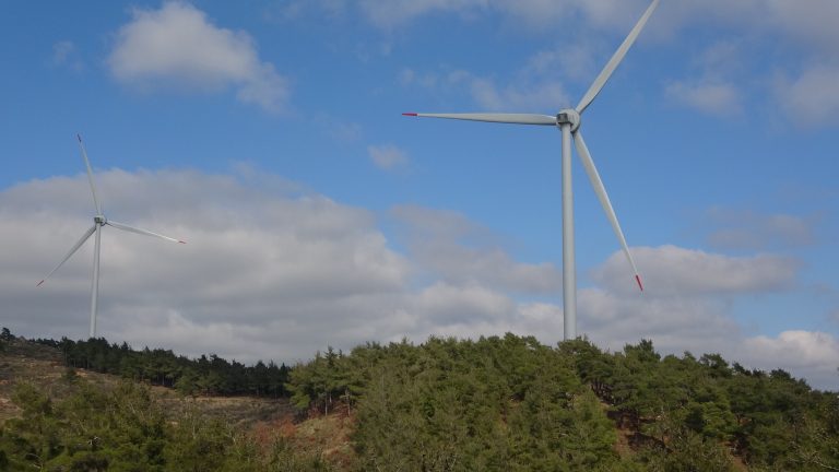 Enerjisa Üretim’den Türkiye’de Bir İlk,   Ovacık RES Uçtan Uca Kadınlara Emanet