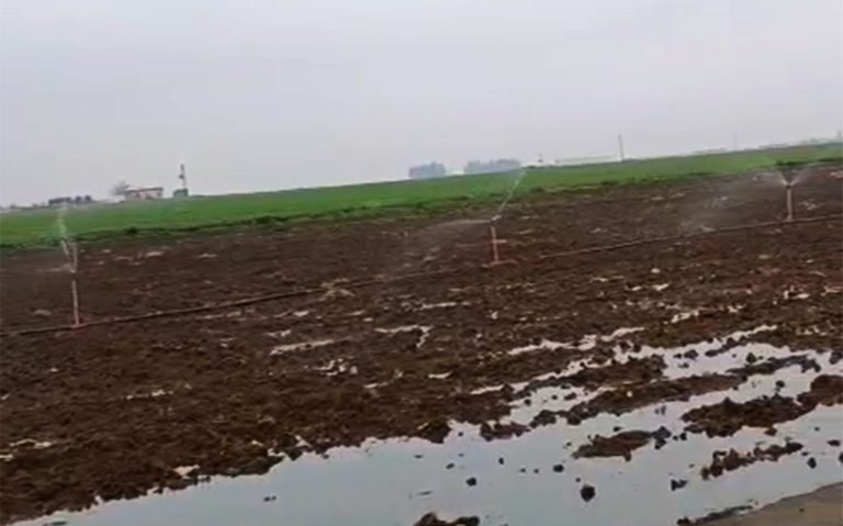Kaçak Elektrikle Sulama, Yağmurda Bile Devam Etti